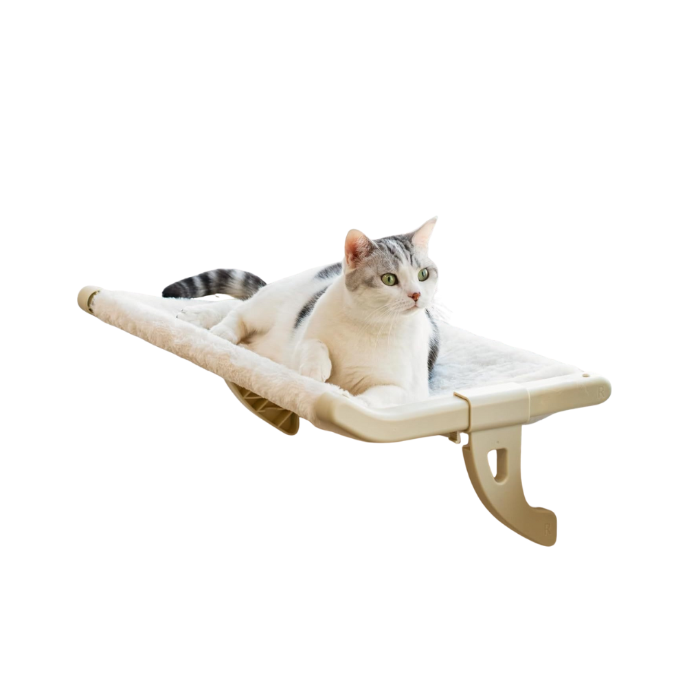 Window Perch for Cats