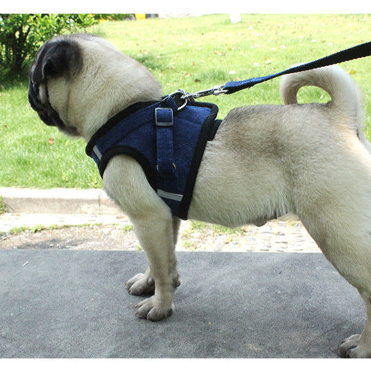 Reflective Dog Vest and Leash Set