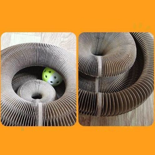 Foldable Magic Organ Cat Toy