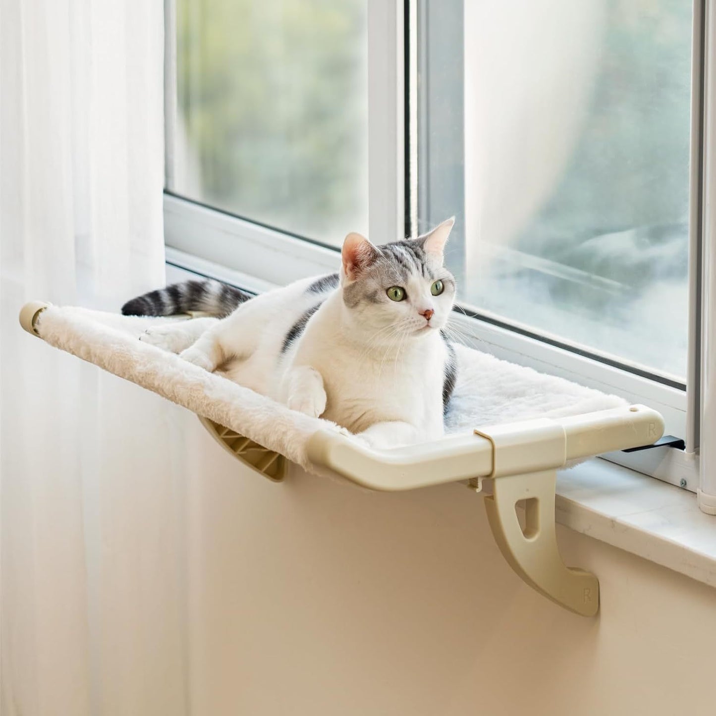 Window Perch for Cats