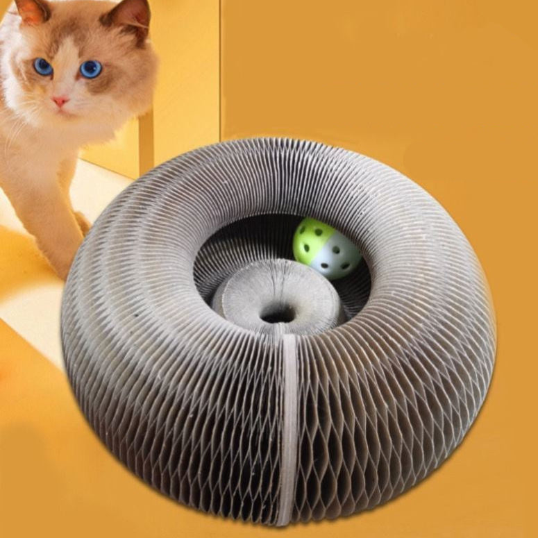Foldable Magic Organ Cat Toy