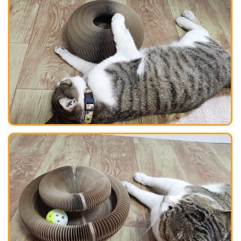 Foldable Magic Organ Cat Toy