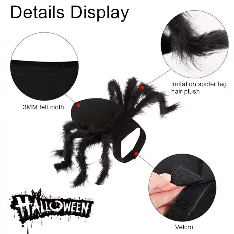 Halloween Spooky Spider Costume