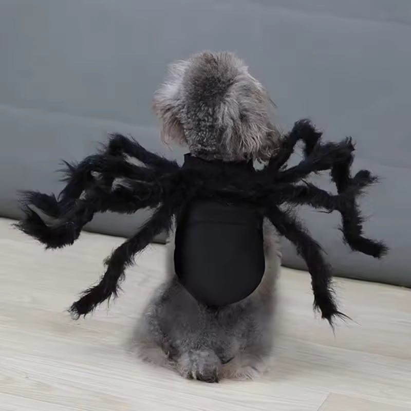 Halloween Spooky Spider Costume