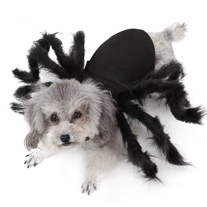Halloween Spooky Spider Costume
