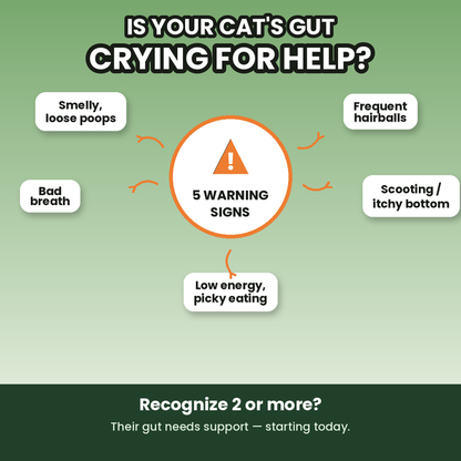 Probiotic for Cats