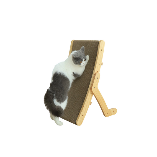 Cat Scratch Bed