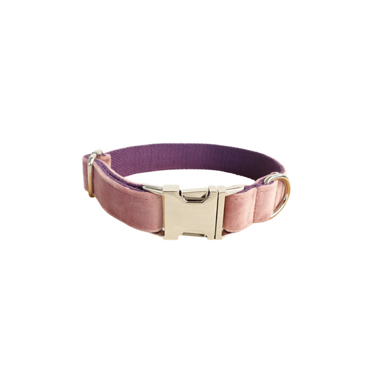 Baby Pink Velvet Collar and Leash Set