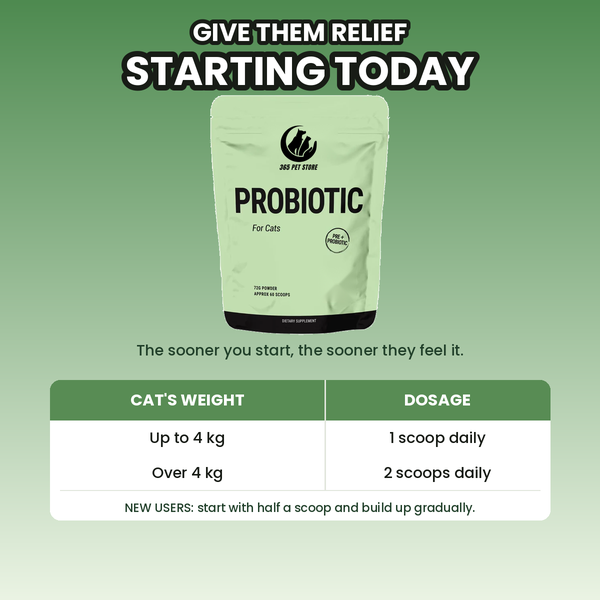 Probiotic for Cats