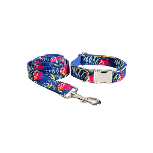 Graffiti Collar and Leash Set