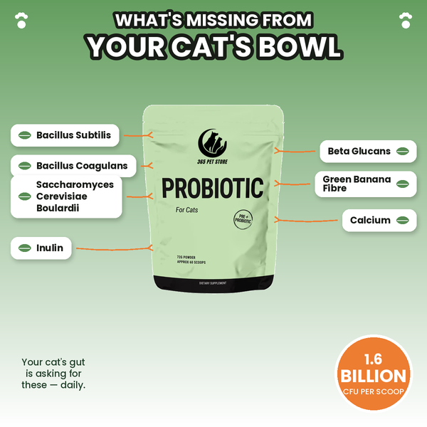 Probiotic for Cats