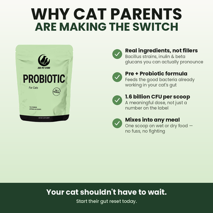Probiotic for Cats