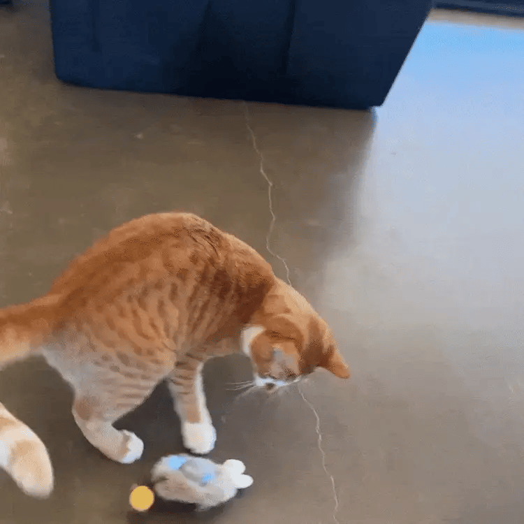 Catch Me - Smart Ball