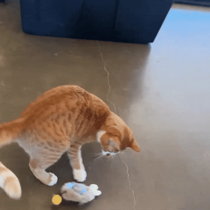 Catch Me - Smart Ball