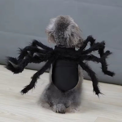 Halloween Spooky Spider Costume