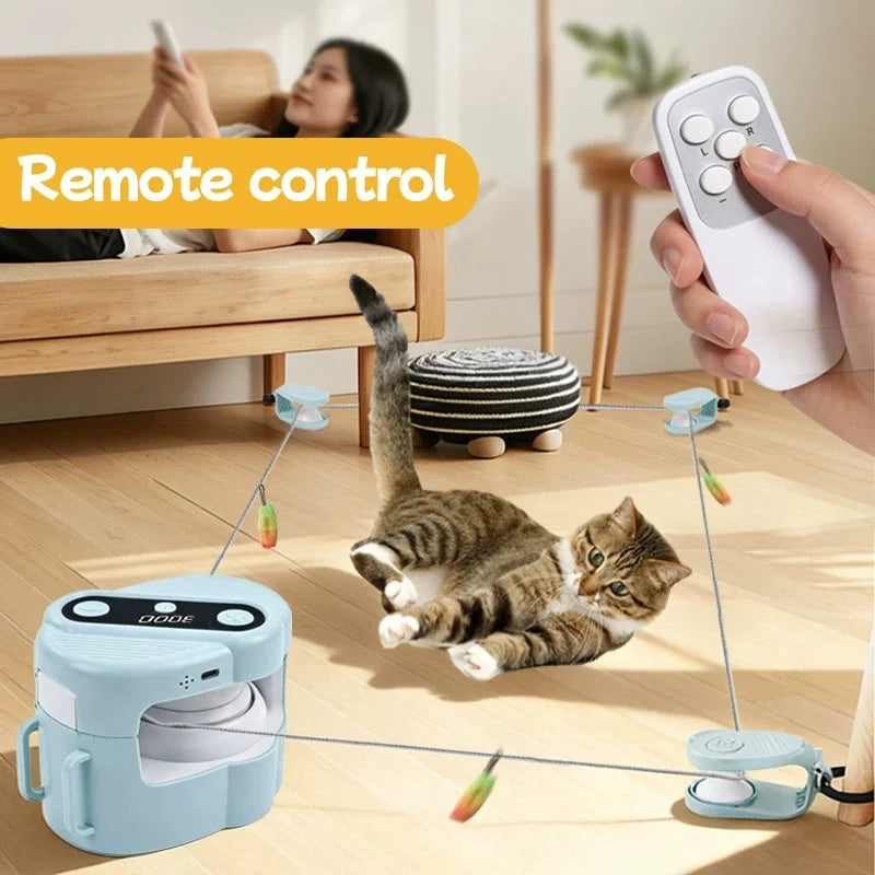 Automatic Cat Chaser