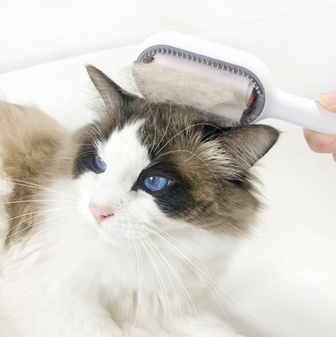 365 Pet Grooming Comb. 4 in 1
