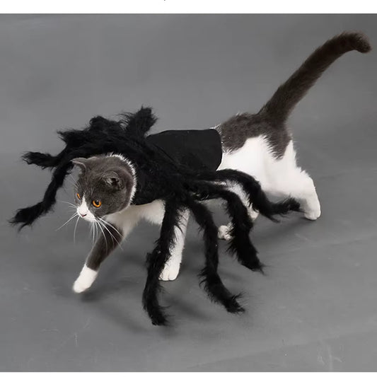 Halloween Spooky Spider Costume