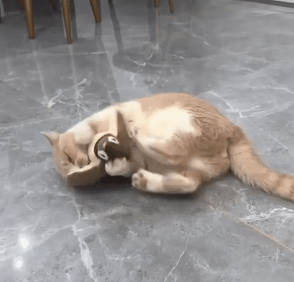 Flaps and Chirps Bird Toy