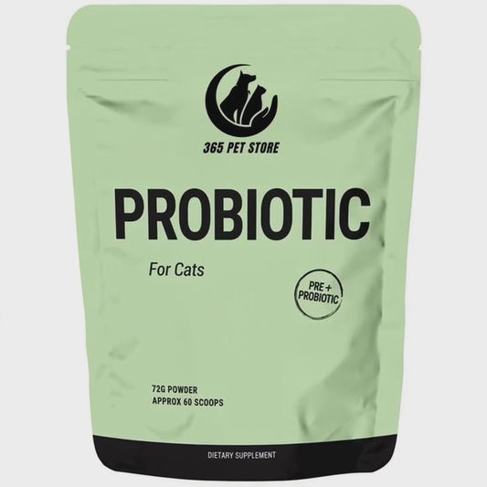 Probiotic for Cats