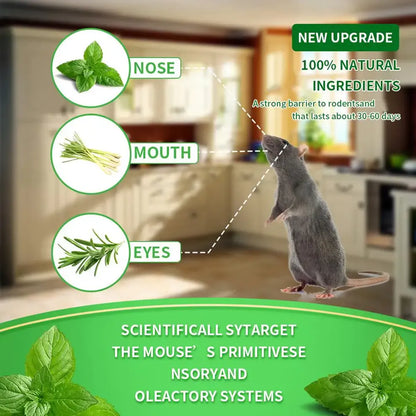 MintShield™ Rodent Repellent Pods (12-Pack)